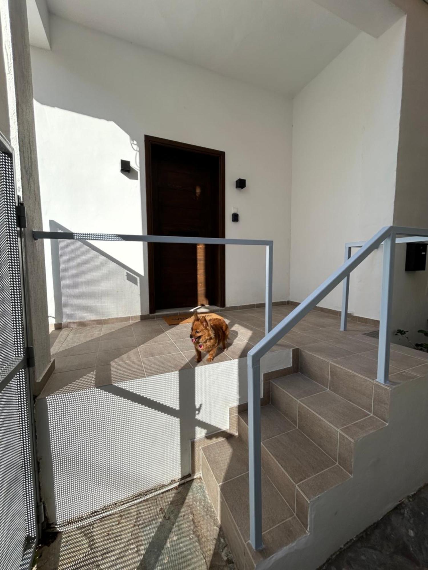 Stella'S Petite Boite Apartment Rafína Екстериор снимка