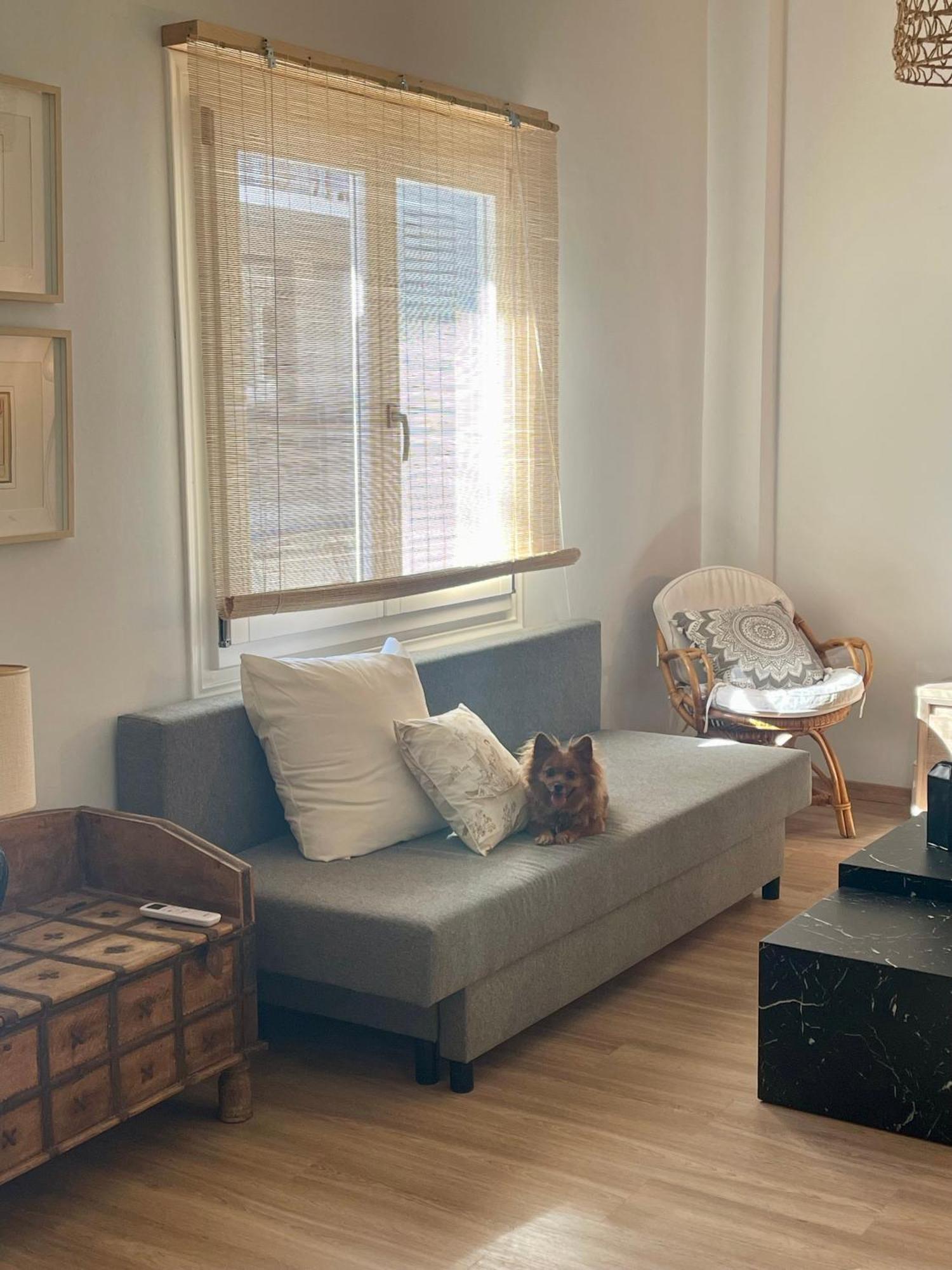 Stella'S Petite Boite Apartment Rafína Екстериор снимка